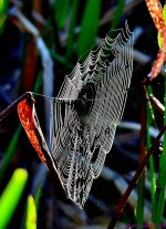 DSC_3333_001.JPG