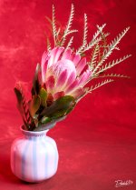 Flower_Bootcamp_01.jpg