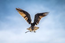 _DSC5053-DeNoiseAI-standard (1).jpg