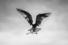 _DSC5053-DeNoiseAI-standard (1)-2.jpg