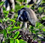 DSC_3417_001.JPG
