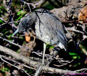 DSC_3478_001.JPG