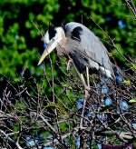 DSC_3507_001.JPG
