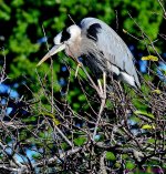 DSC_3509_001.JPG