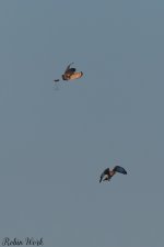 20250221-RD5_9545-Edit.jpg
