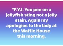 1741552637948.jpeg