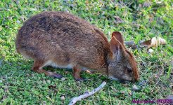 DSC_3542_001.JPG