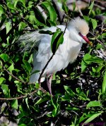 DSC_3583_001.JPG