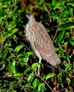 DSC_3627_001.JPG