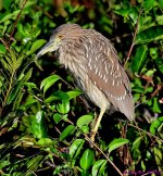 DSC_3628_001.JPG
