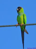 DSC_3725_001.JPG