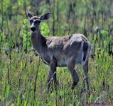 DSC_3810_001.JPG