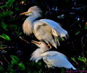DSC_3849_001.JPG