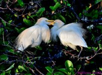 DSC_3850_001.JPG