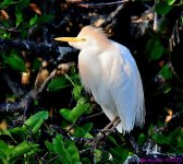 DSC_3864_001.JPG