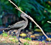 DSC_3896_stitch_001.JPG