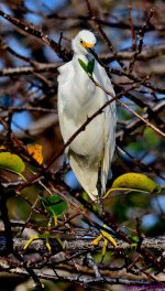 DSC_3912_001.JPG