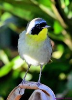 DSC_4011_001.JPG
