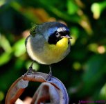 DSC_4020_001.JPG