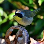 DSC_4027_001.JPG