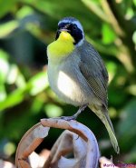 DSC_4033_001.JPG
