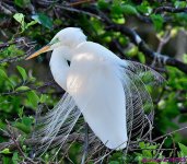 DSC_4114_001.JPG
