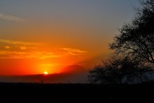 DSC_2919.JPG