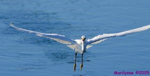 DSC_4435_001.JPG