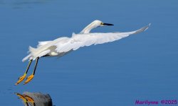 DSC_4581_001.JPG