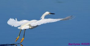 DSC_4583_001.JPG