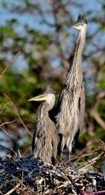 DSC_4676_001.JPG