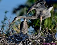 DSC_4691_stitch3_001.JPG