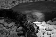 DSC_2978.JPG