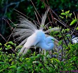 DSC_4714_stitch7_001.JPG