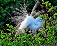 DSC_4728_stitch4_001.JPG