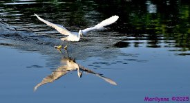DSC_4793_001.JPG