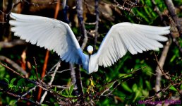 DSC_4818_001.JPG