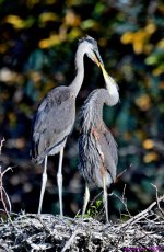 DSC_4937_stitch3_001.JPG