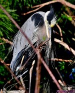 DSC_5011_001.JPG