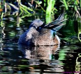 DSC_5031_001.JPG