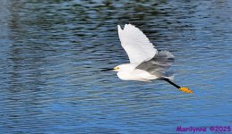DSC_5040_001.JPG