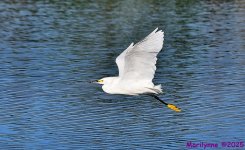 DSC_5042_001.JPG