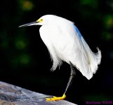 DSC_5062_001.JPG
