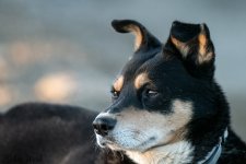 RD5_0434-Edit.jpg