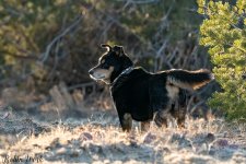 RD5_0455-Edit.jpg