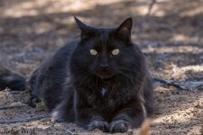 RD5_0486-Edit.jpg