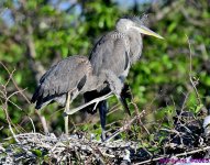 DSC_5367_001.JPG
