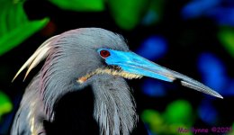 DSC_5403_001.JPG