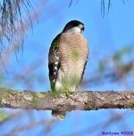 DSC_5404_stitch3_001.JPG