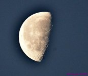 DSC_5425_001.JPG